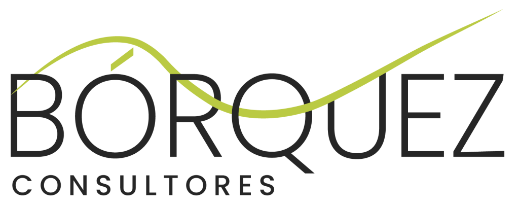 LOGO BÓRQUEZ CONSULTORESMesa de trabajo 1