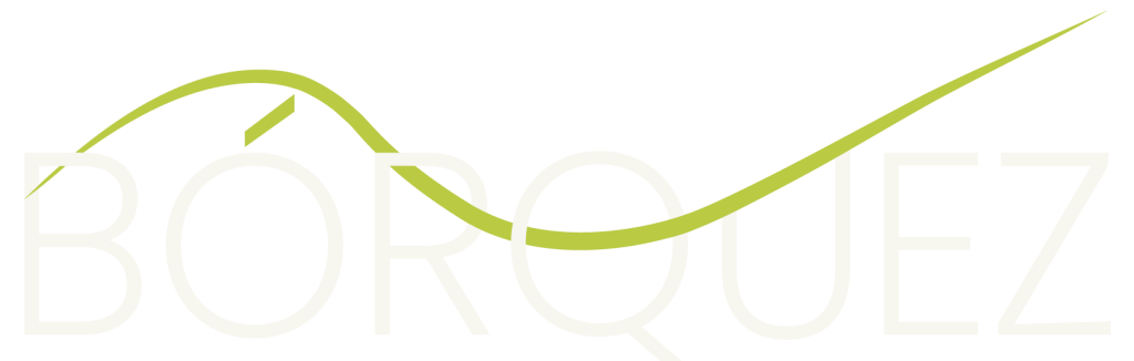 LOGO BÓRQUEZ CONSULTORES